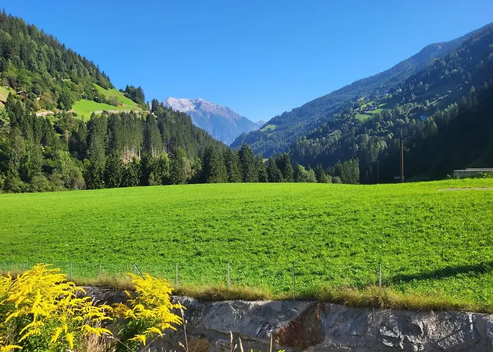 Tschiderer By Interhome Lejlighed See